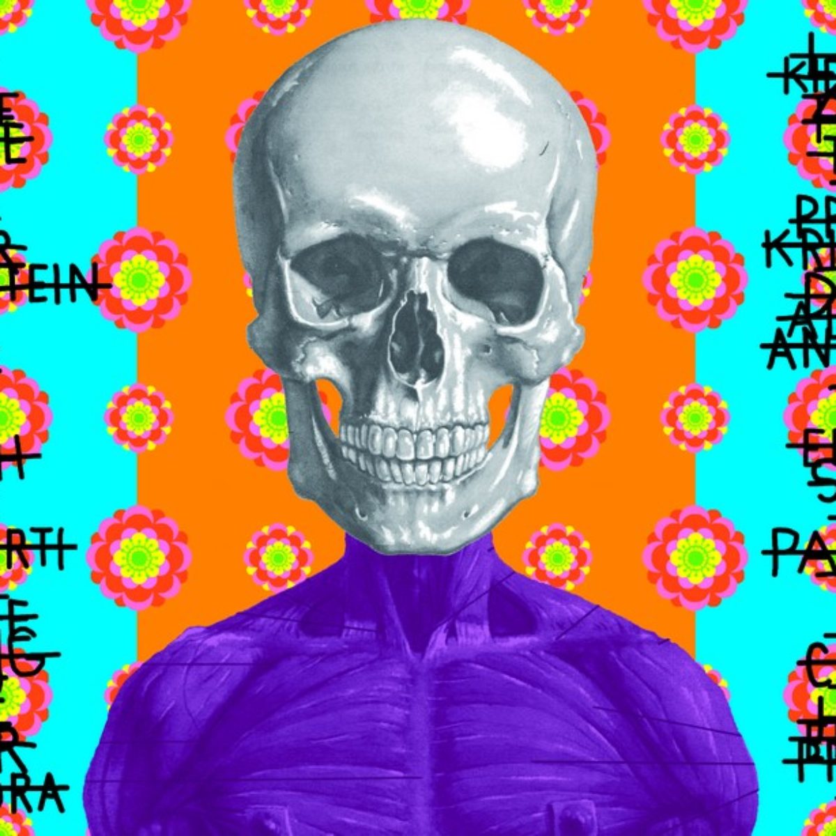 Ontological skulls