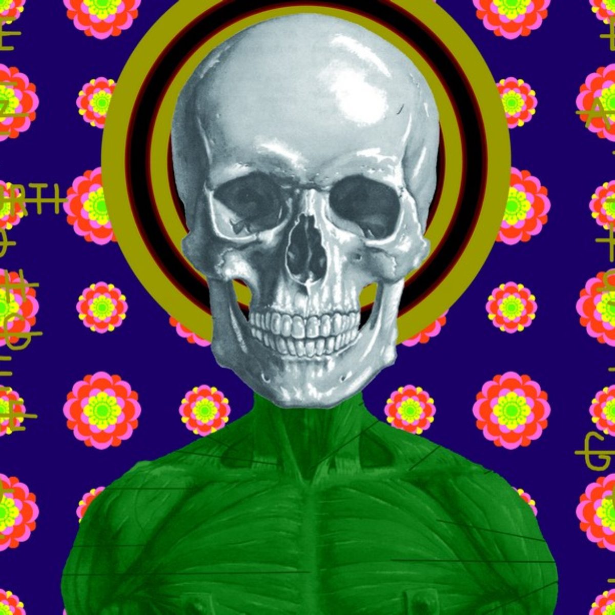 Ontological skulls