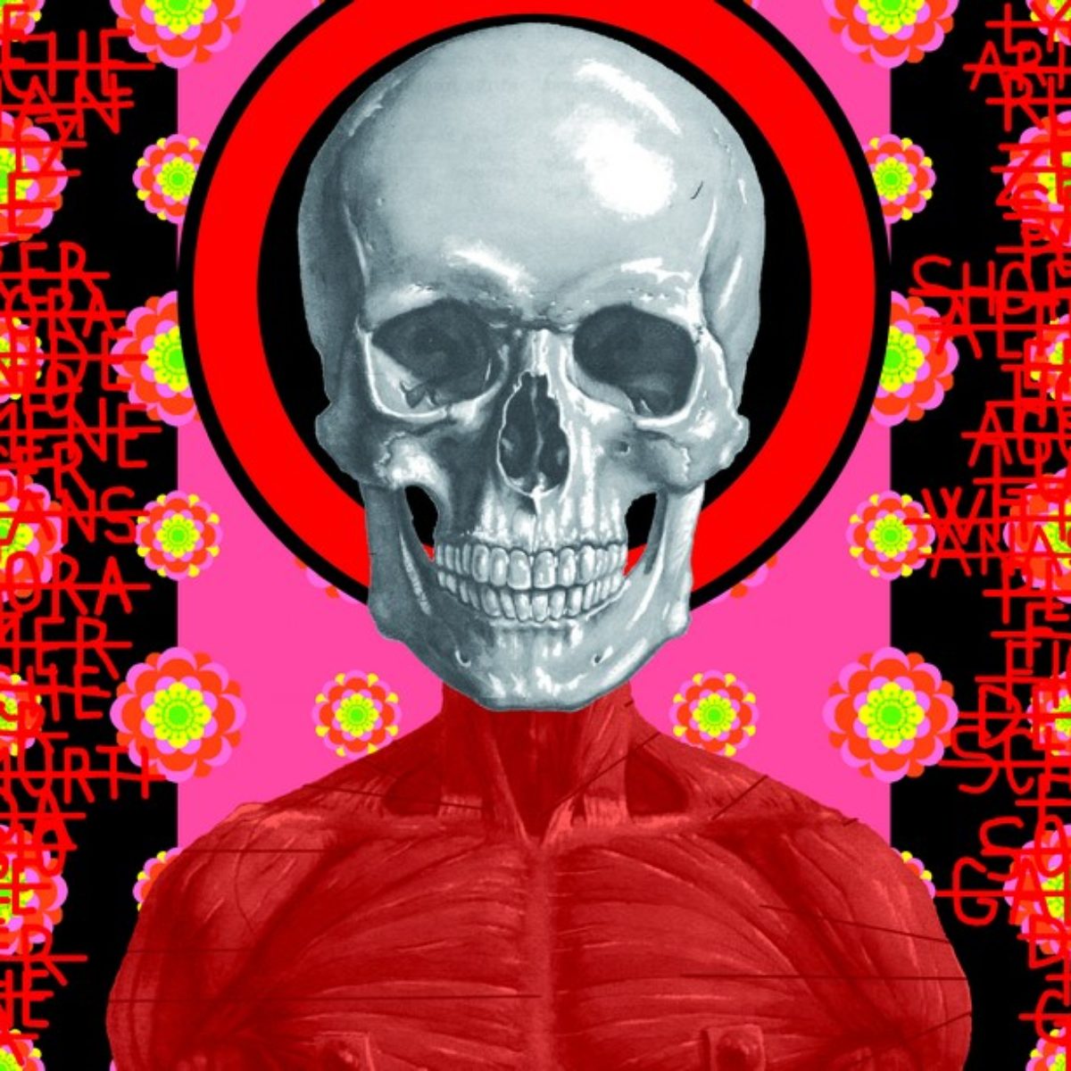 Ontological skulls