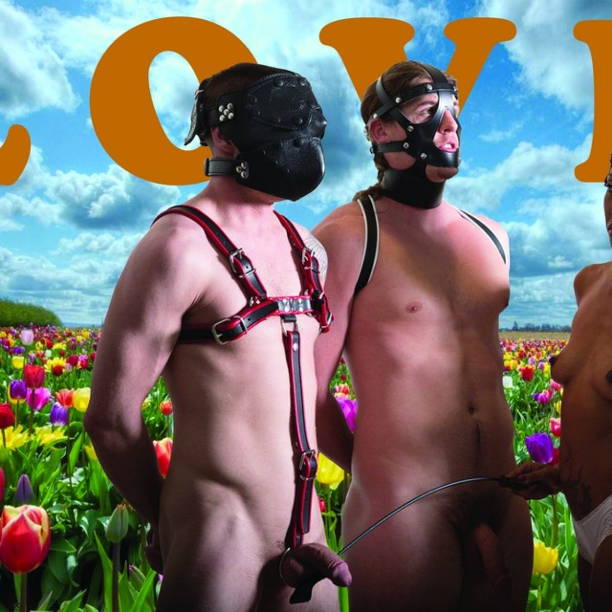 Love is everywhere for everybody