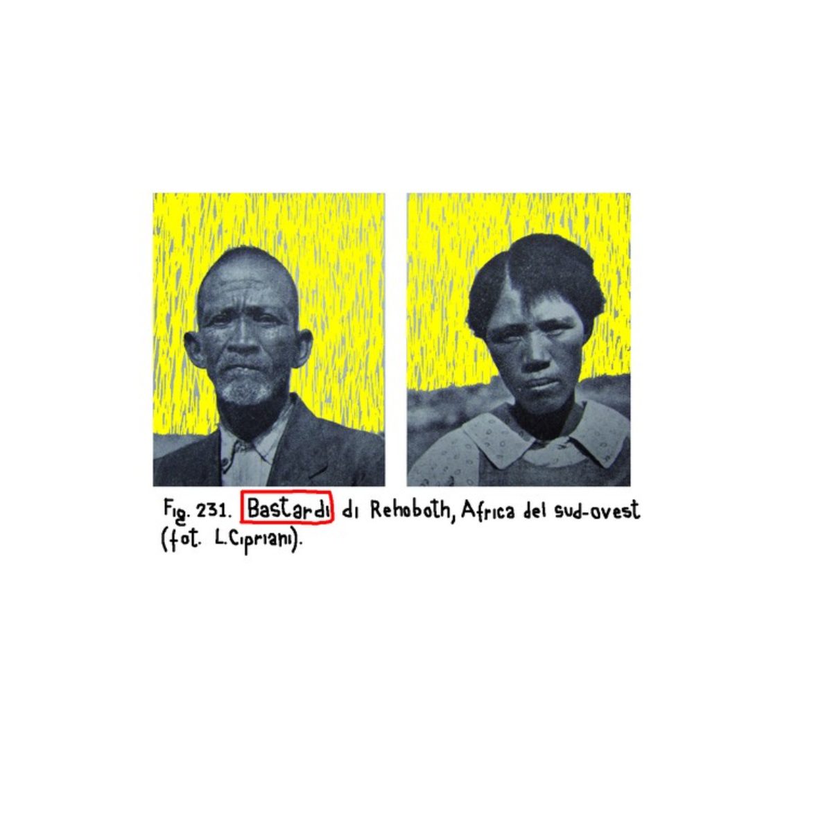 Tribes and Races