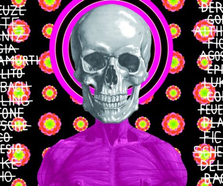 Ontological skulls