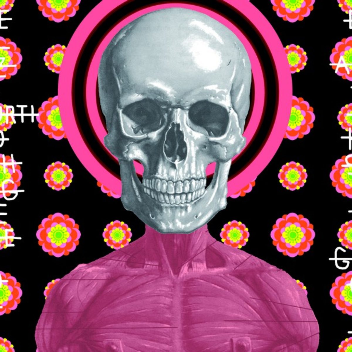 Ontological skulls