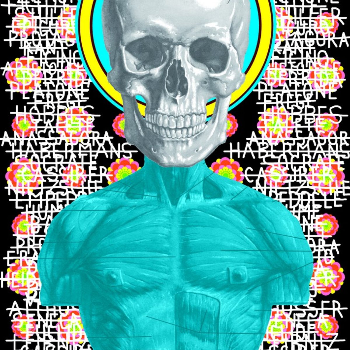 Ontological skulls