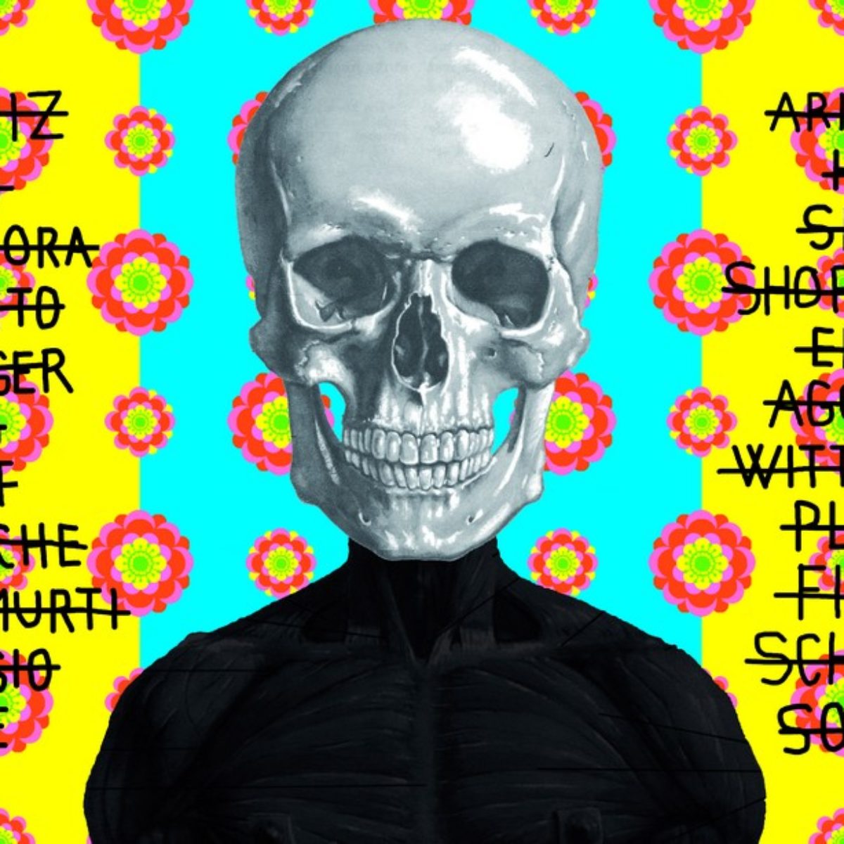 Ontological skulls