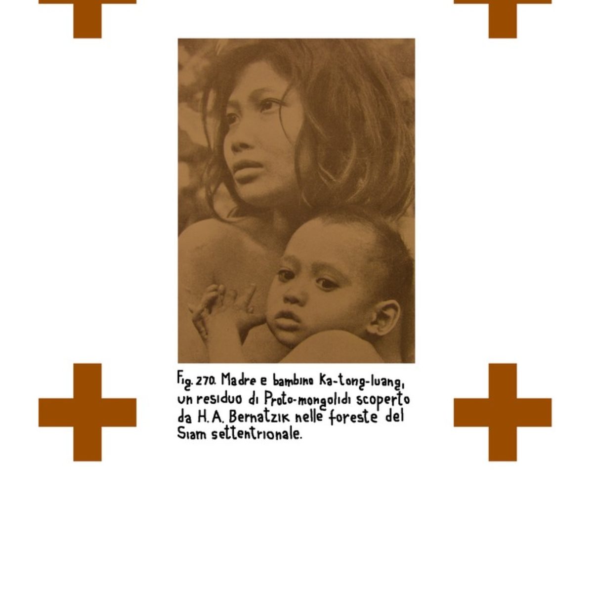 Tribes and Races
