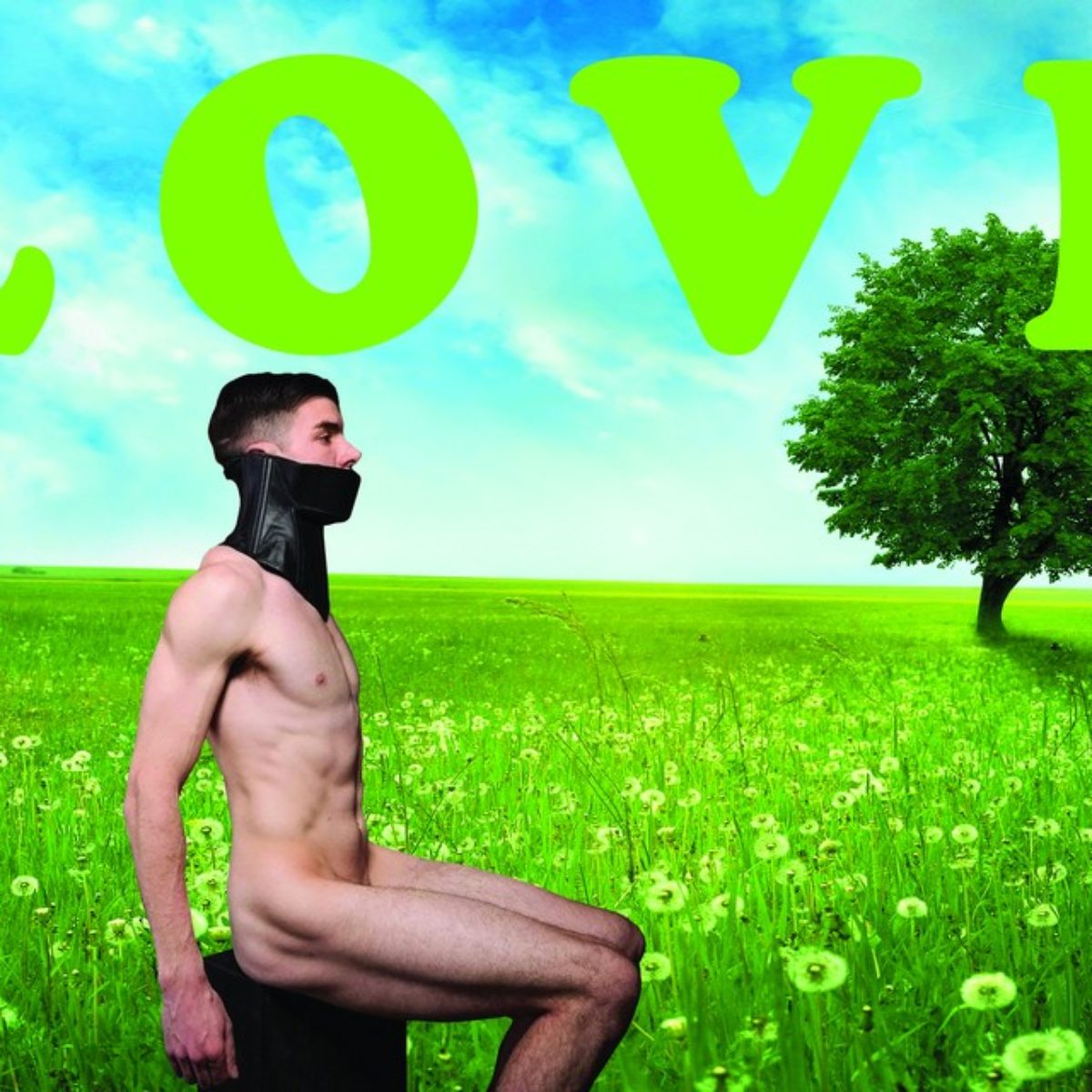 Love is everywhere for everybody