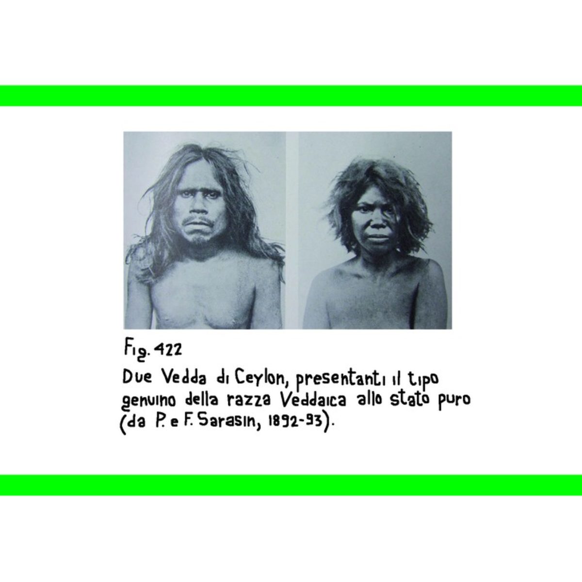 Tribes and Races