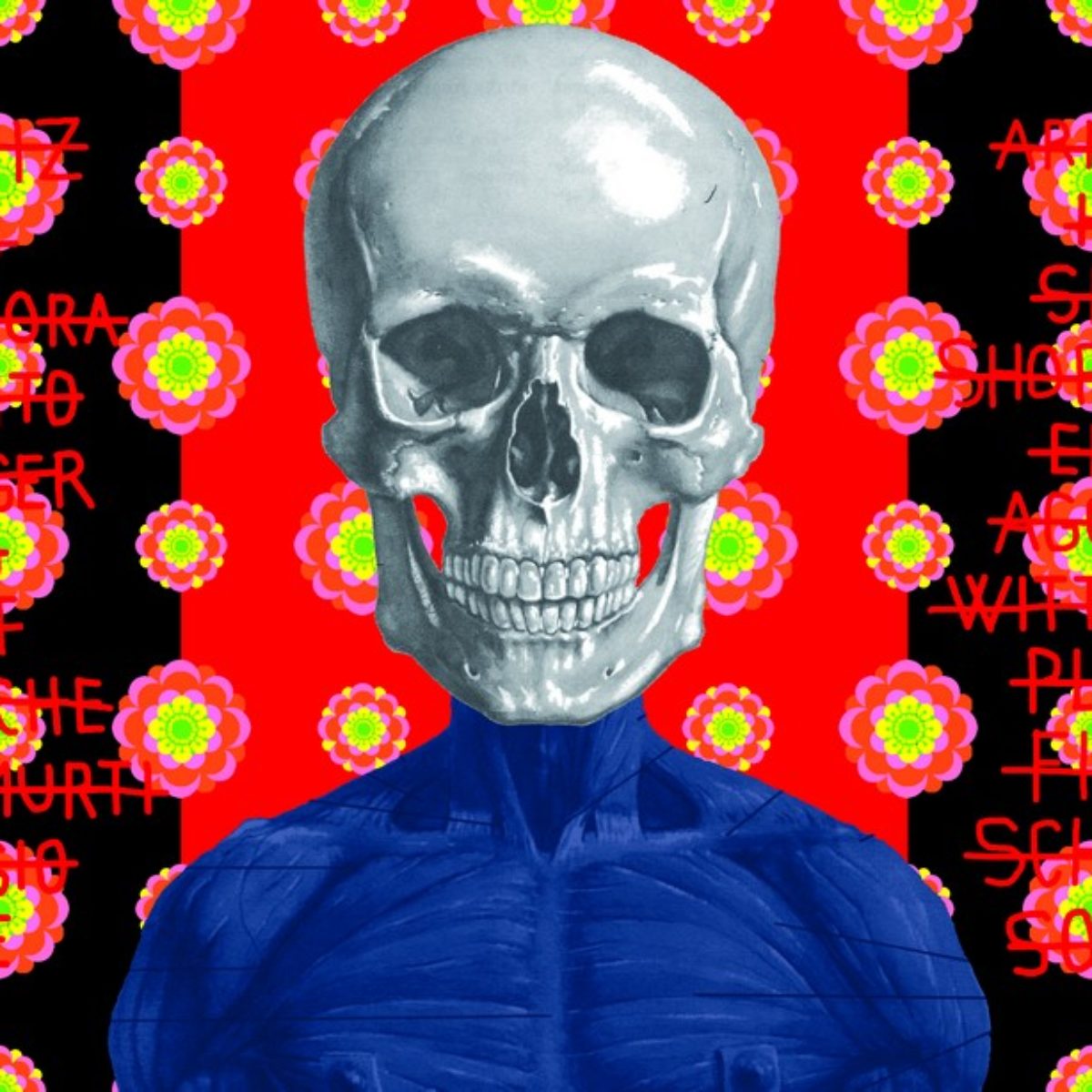 Ontological skulls