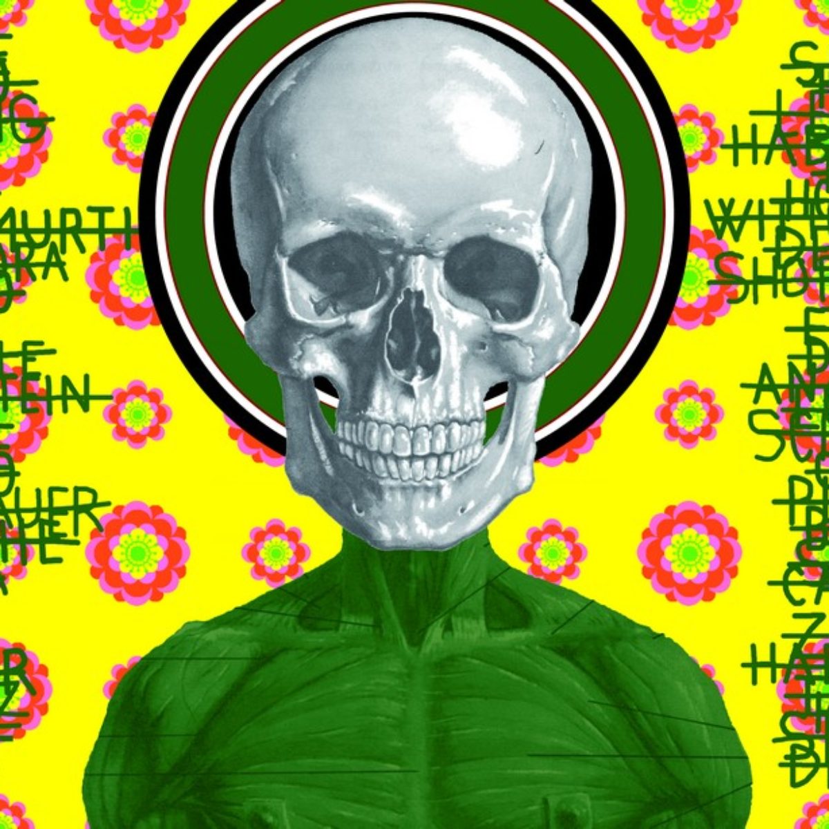 Ontological skulls