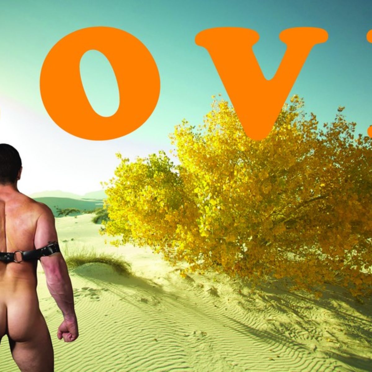 Love is everywhere for everybody