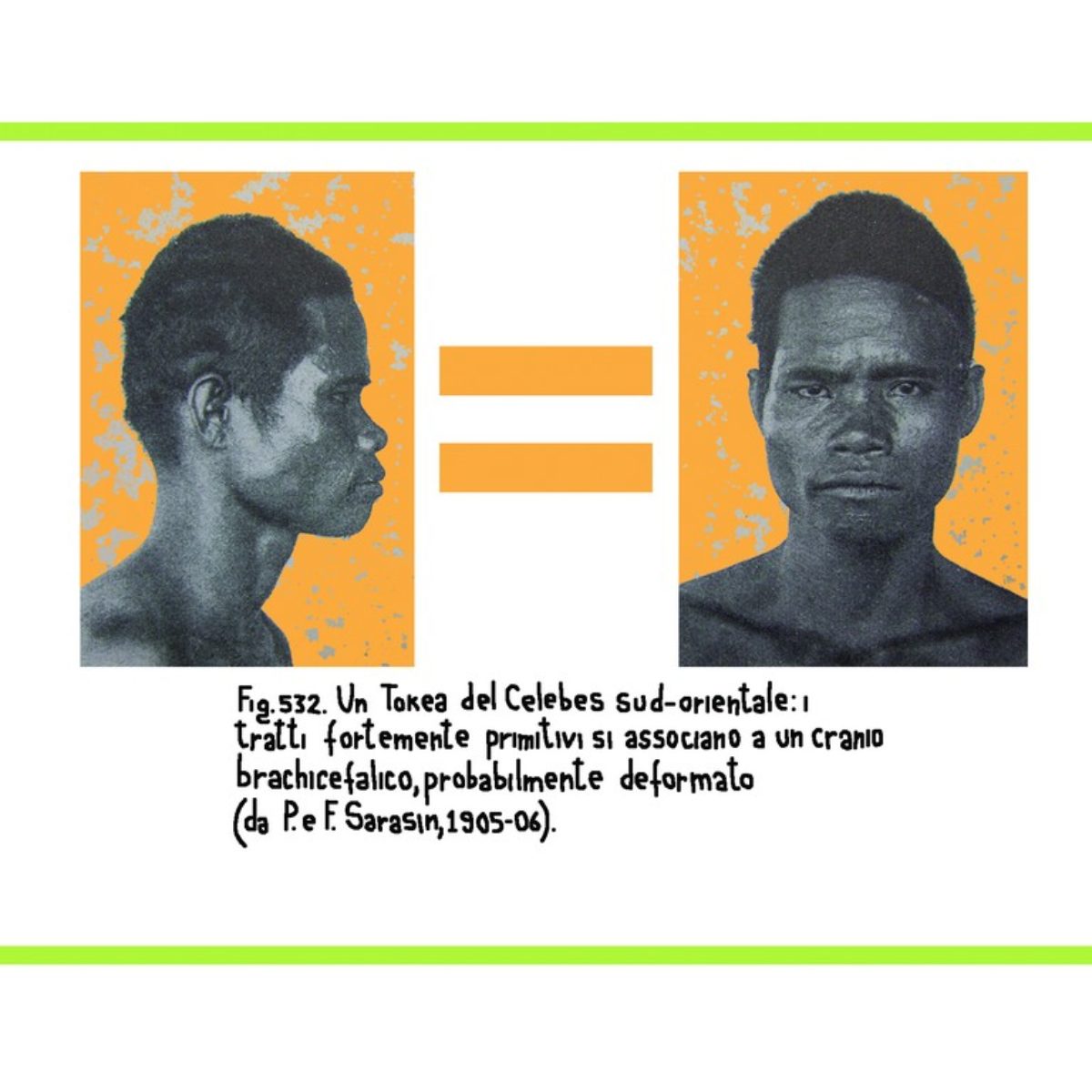 Tribes and Races