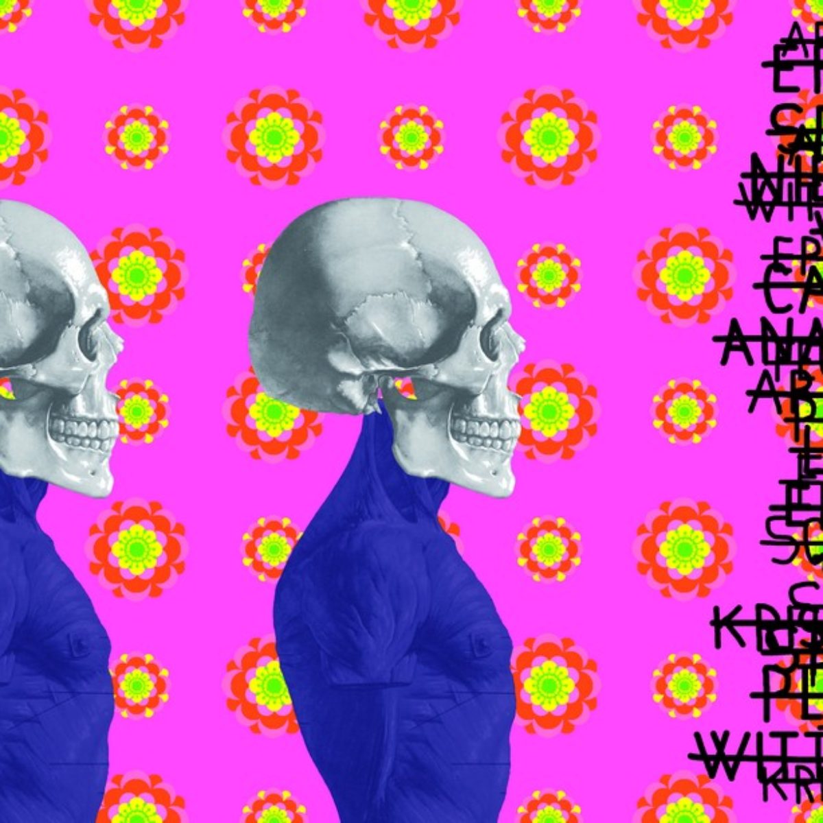 Ontological skulls
