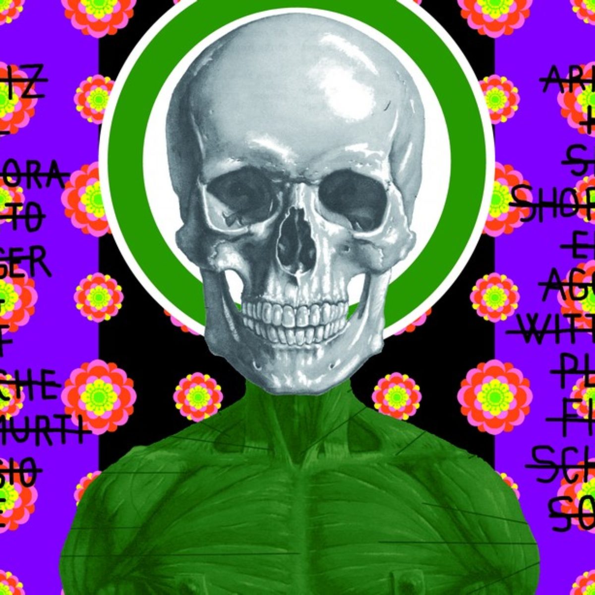 Ontological skulls