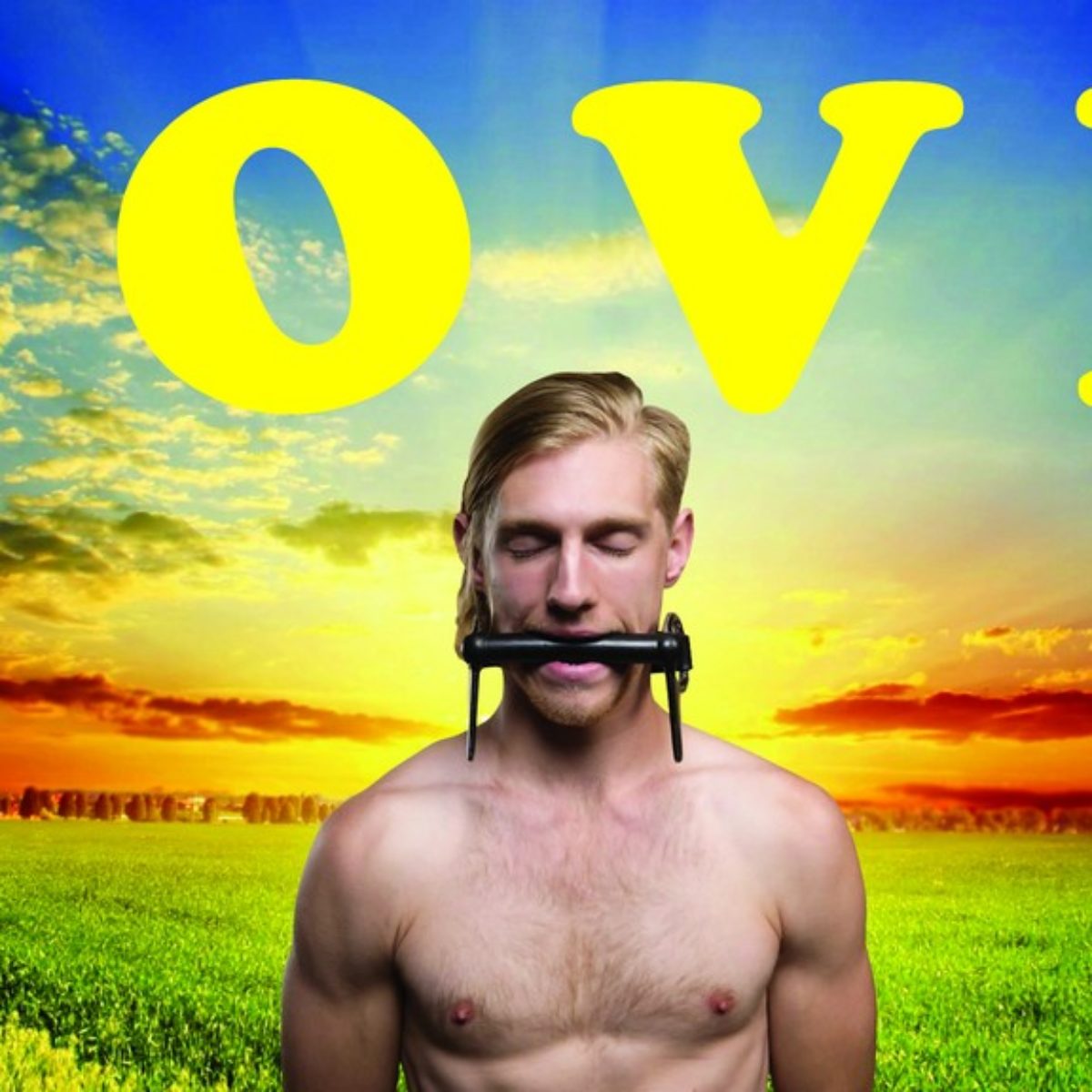 Love is everywhere for everybody