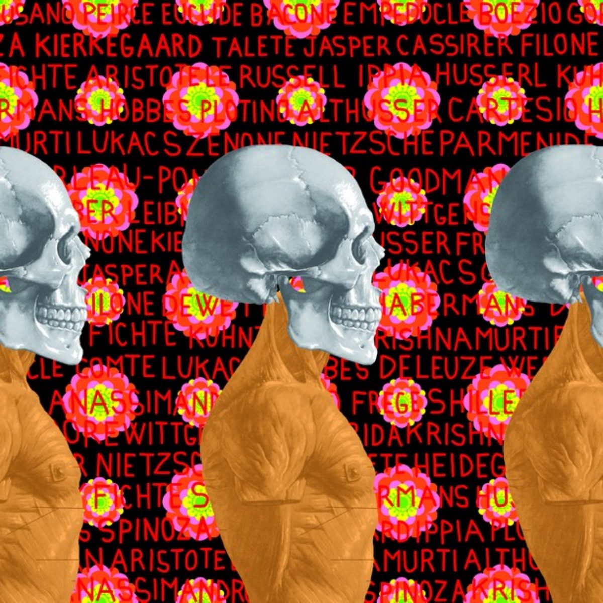 Ontological skulls