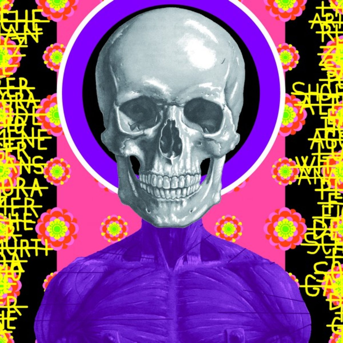 Ontological skulls