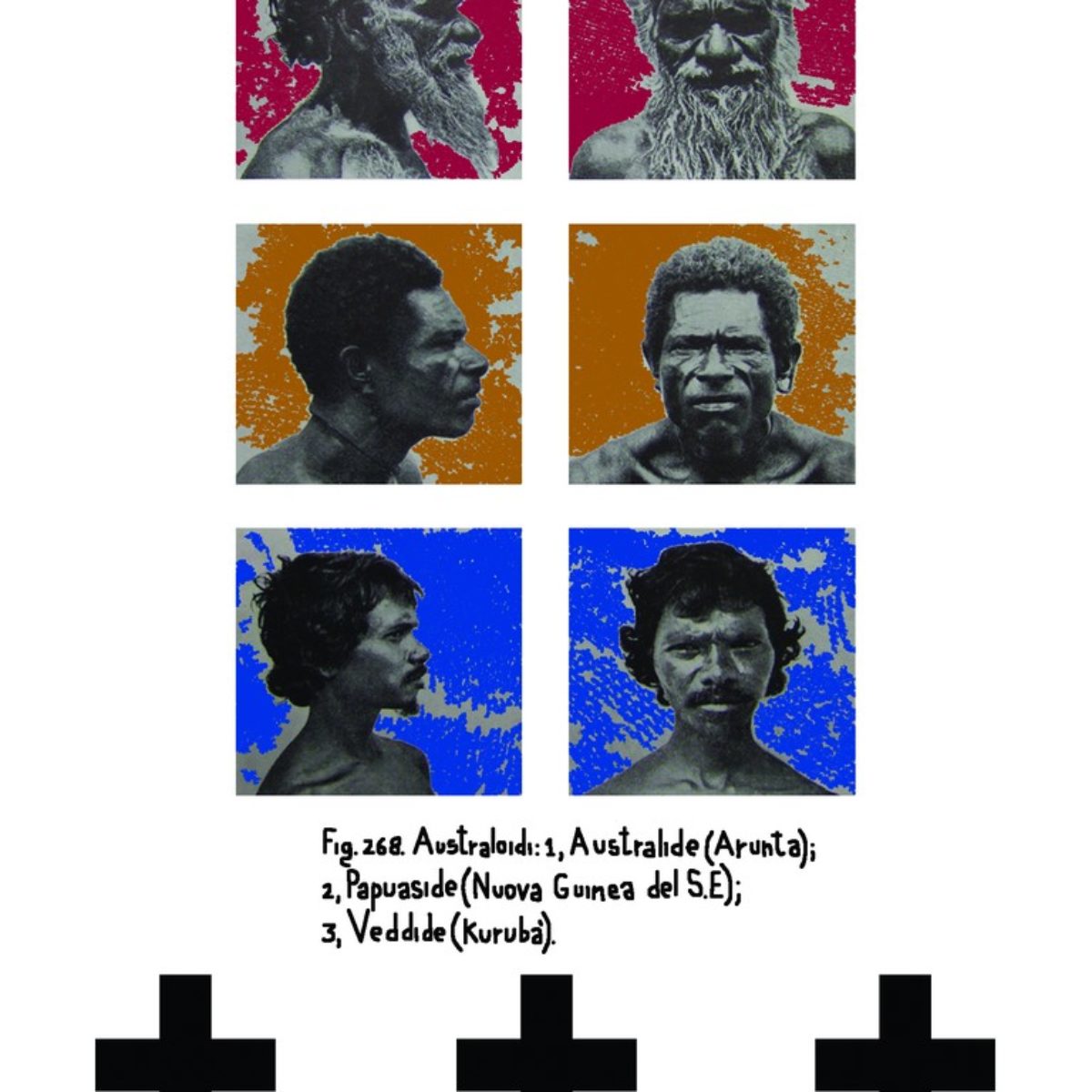Tribes and Races