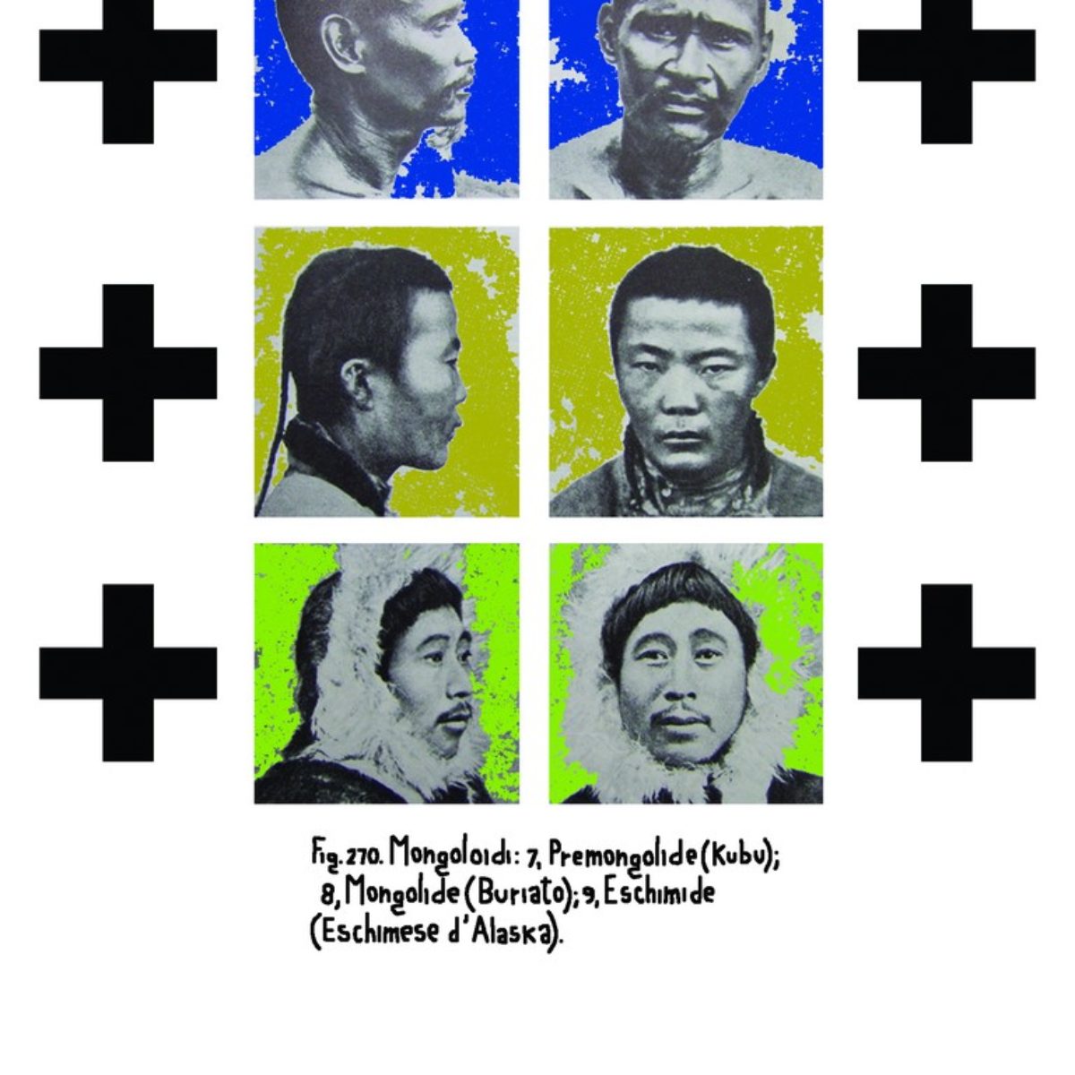 Tribes and Races