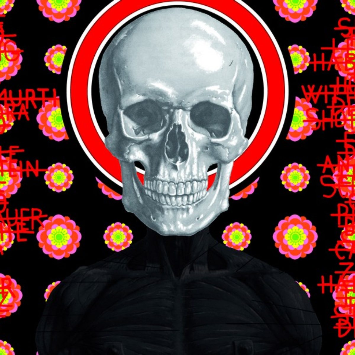 Ontological skulls