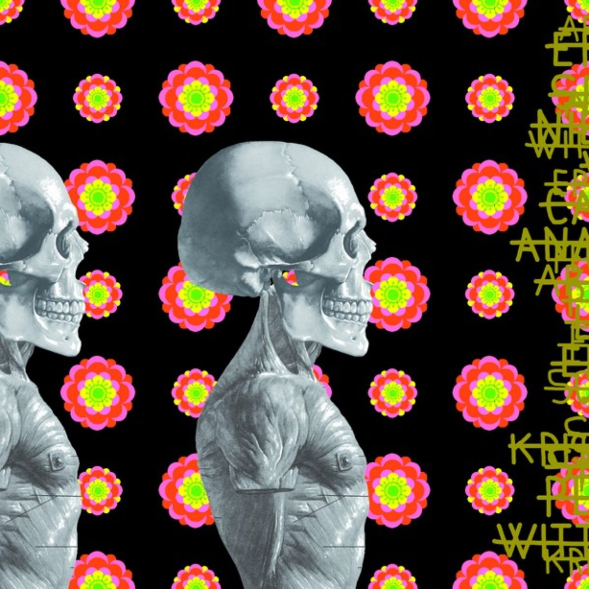 Ontological skulls