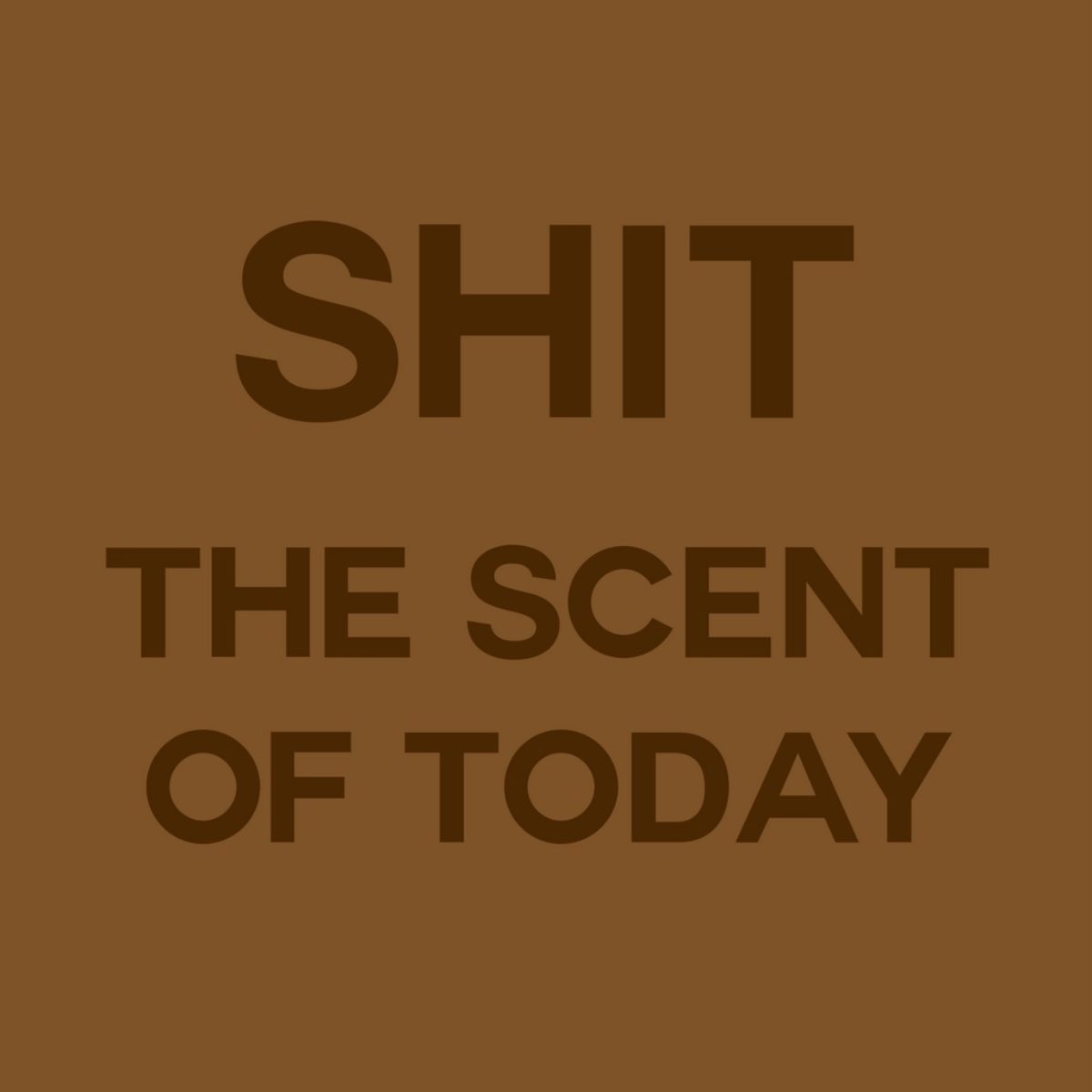 Shit & Chic