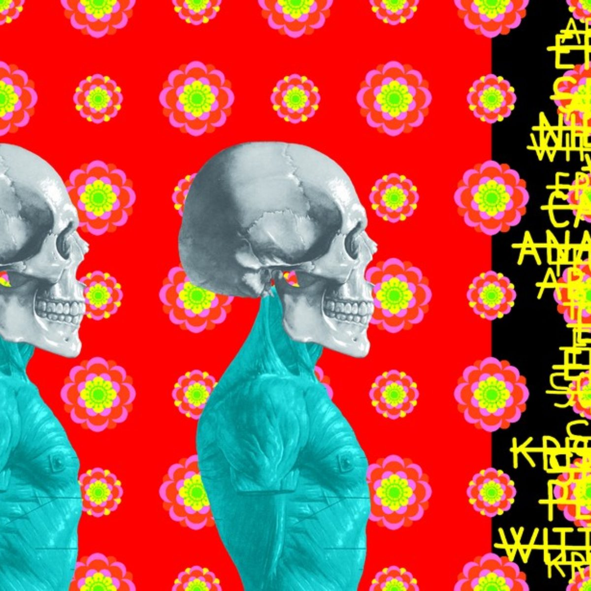 Ontological skulls