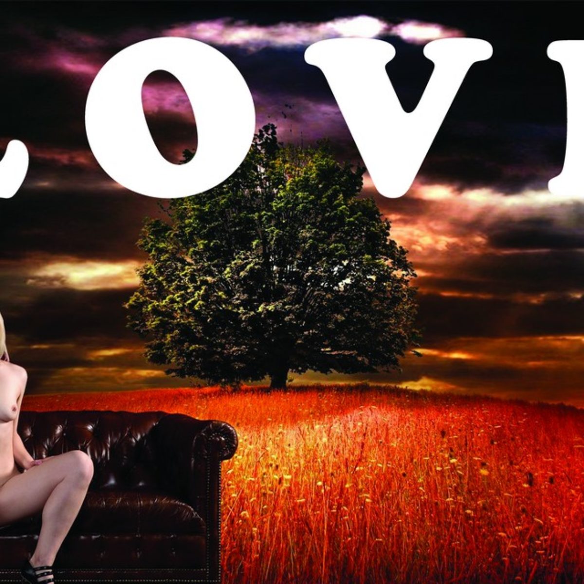 Love is everywhere for everybody