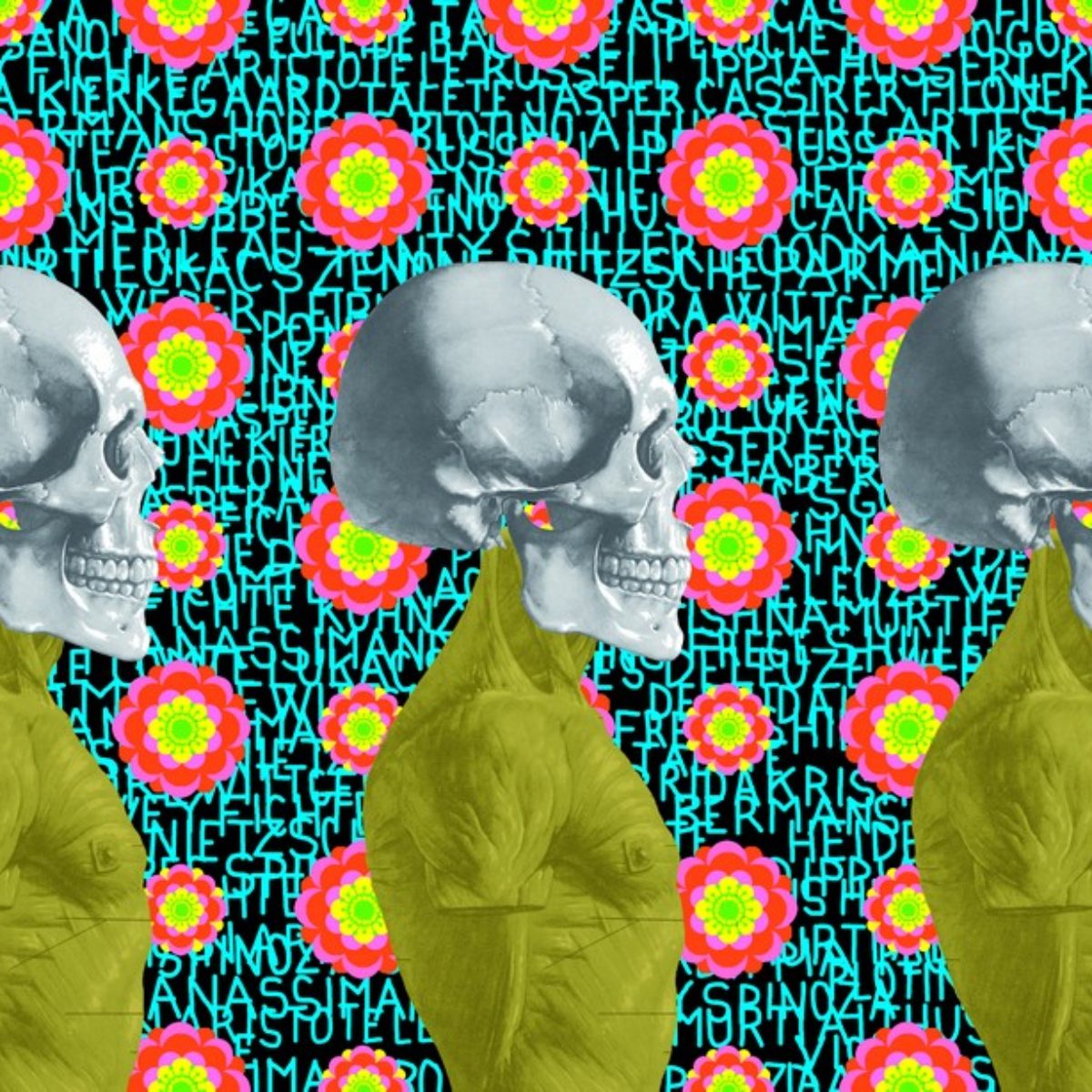 Ontological skulls