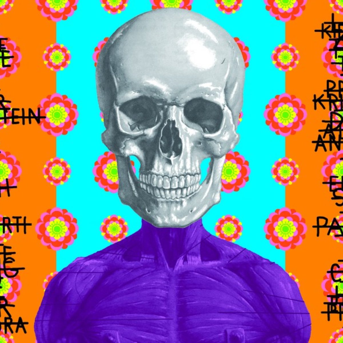 Ontological skulls