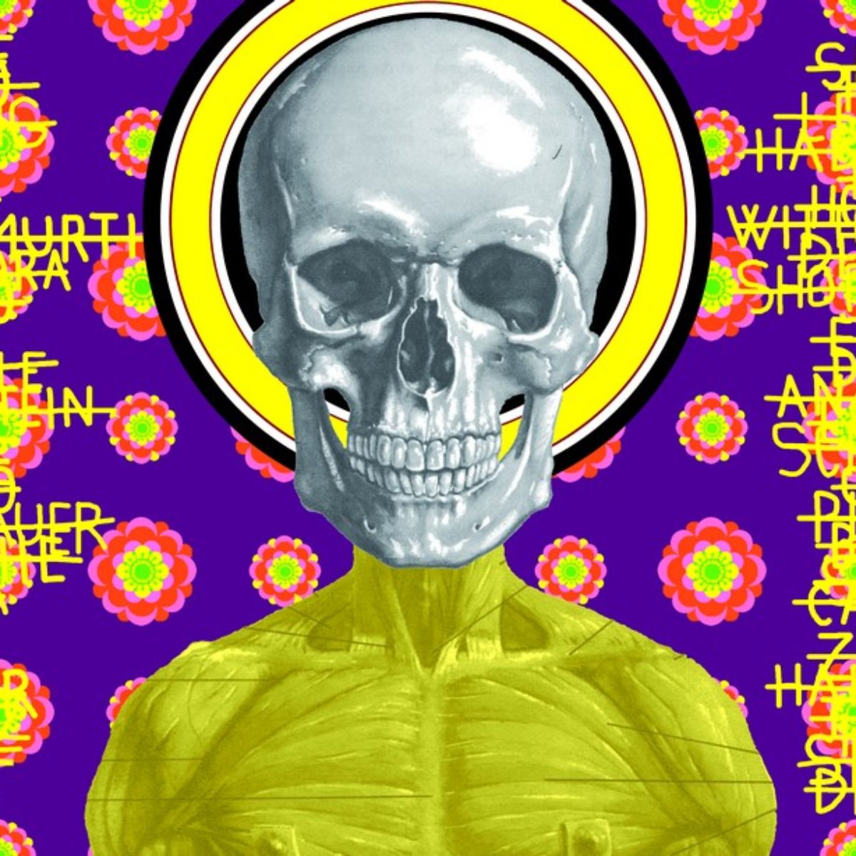 Ontological skulls