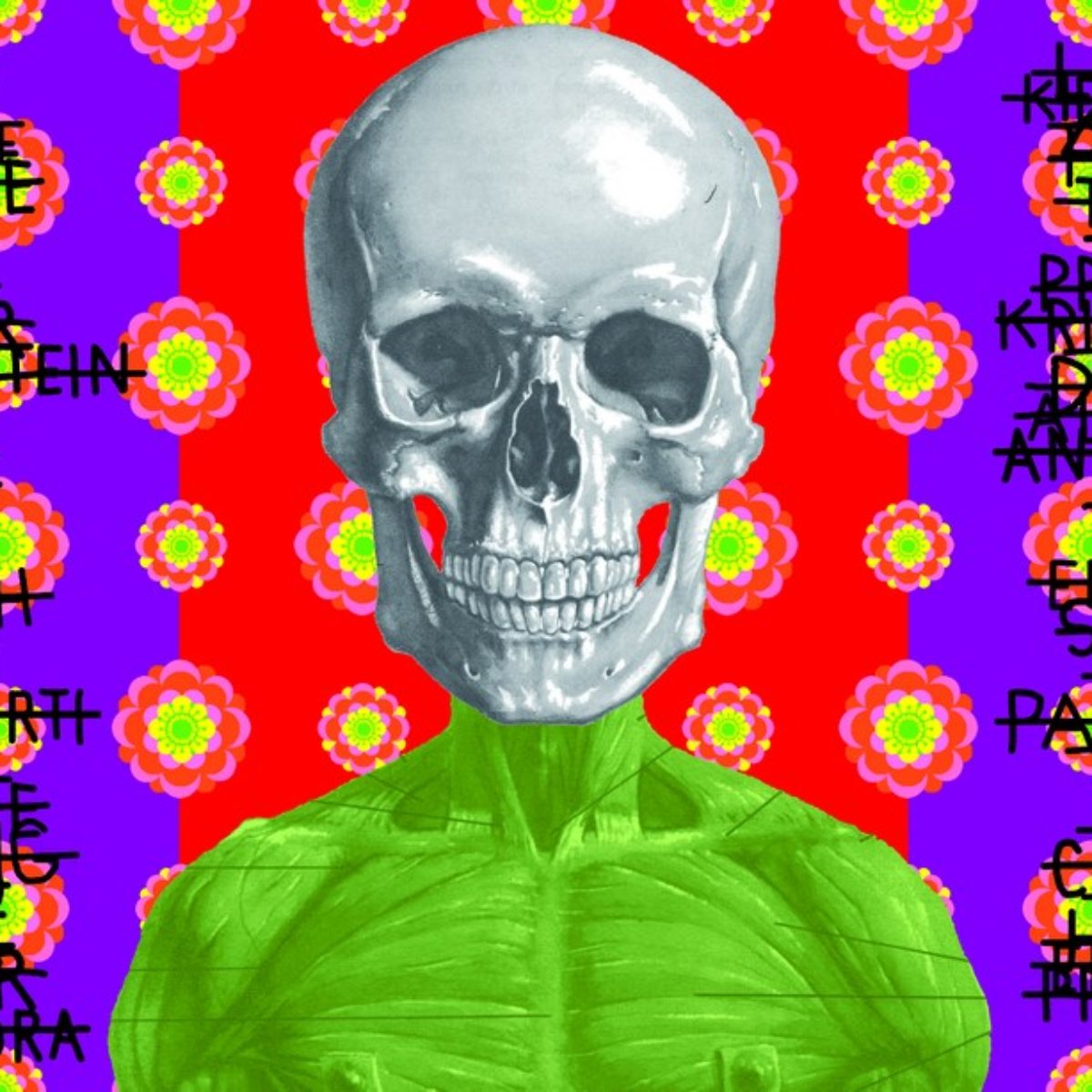 Ontological skulls