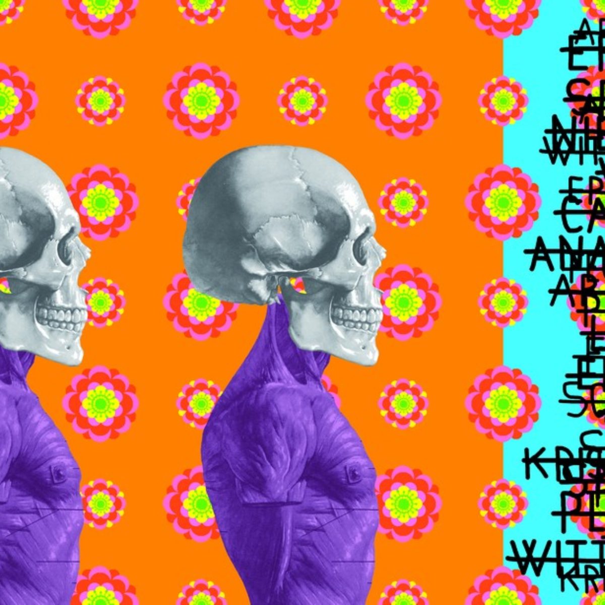 Ontological skulls