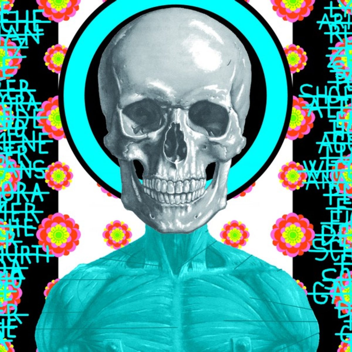 Ontological skulls