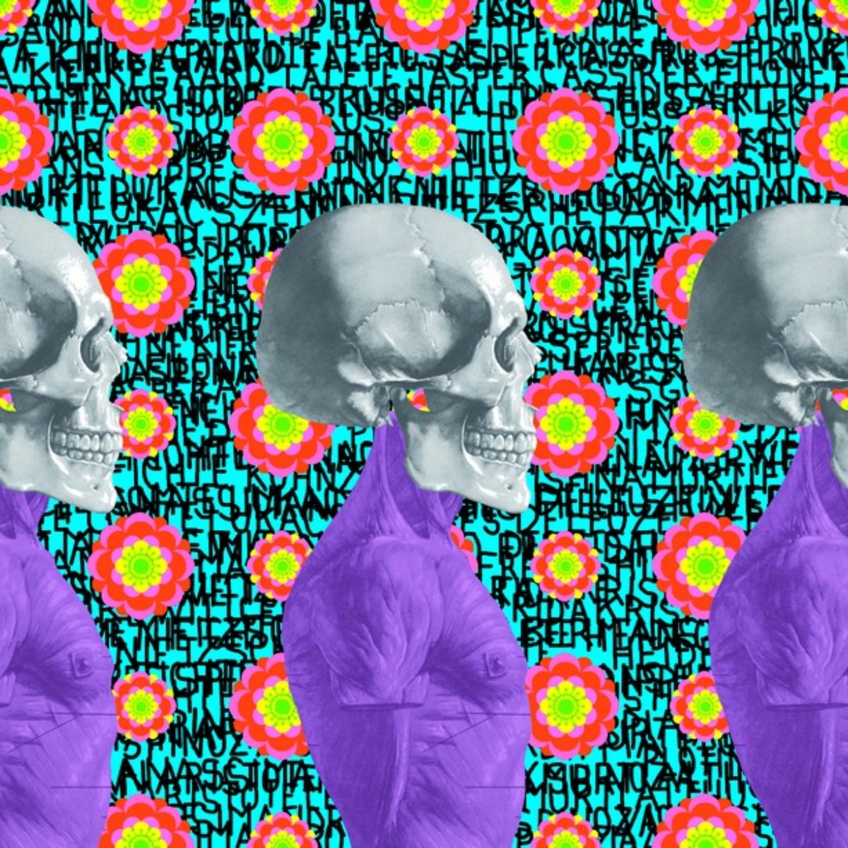 Ontological skulls